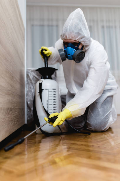 Best Bed Bug Extermination  in Garden Grove, CA